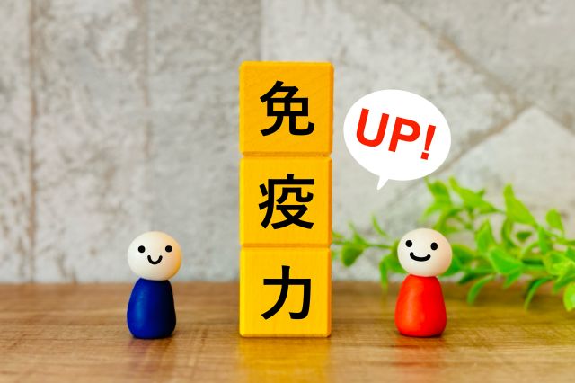 免疫力のブロックと人の模型