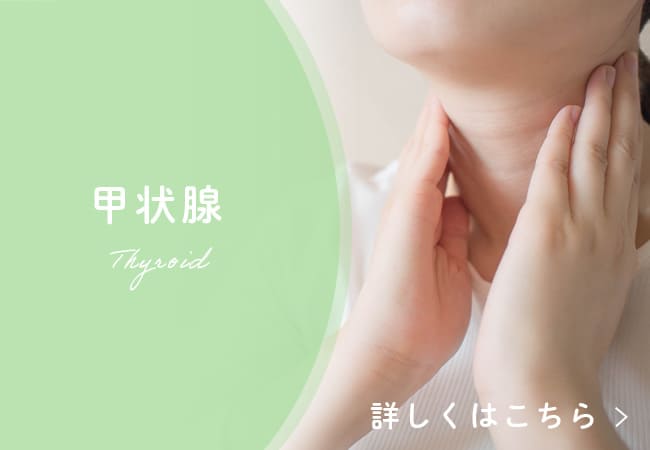 甲状腺のバナー