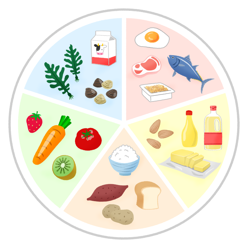 健康を保つ様々な栄養素ー５大栄養素－過不足なく摂るために