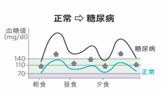 健康な人の血糖値の変動と糖尿病の人の血糖値の変動の違い。健康な人は食後でも140㎎/dL だが、糖尿病だと食後の血糖値はそれ以上に高くなる
